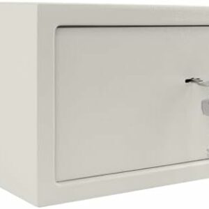 NAIZY Safe Tresor Möbeltresor mit Doppelbartschloss Wandtresor Wandsafe ink. 2 Schlüssel & Befestigungsschrauben Schranksafe Geldtresor für Zuhause, 31 x 20 x 20 cm