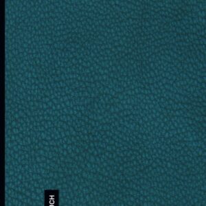 Passwort Buch: Organizer und Manager deiner Passwörter mit ABC Register in 110 Seiten